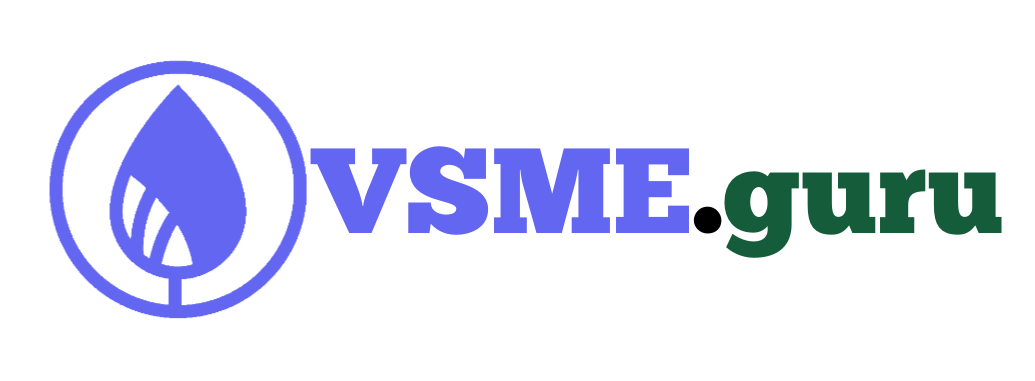 VSME.guru